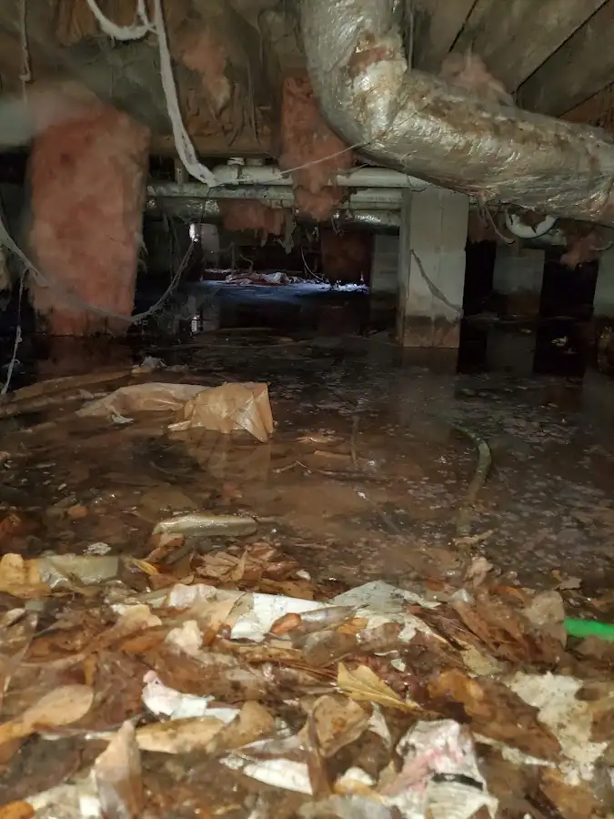 Crawl space flood assessment for Leak Detection & Repair in Delanco